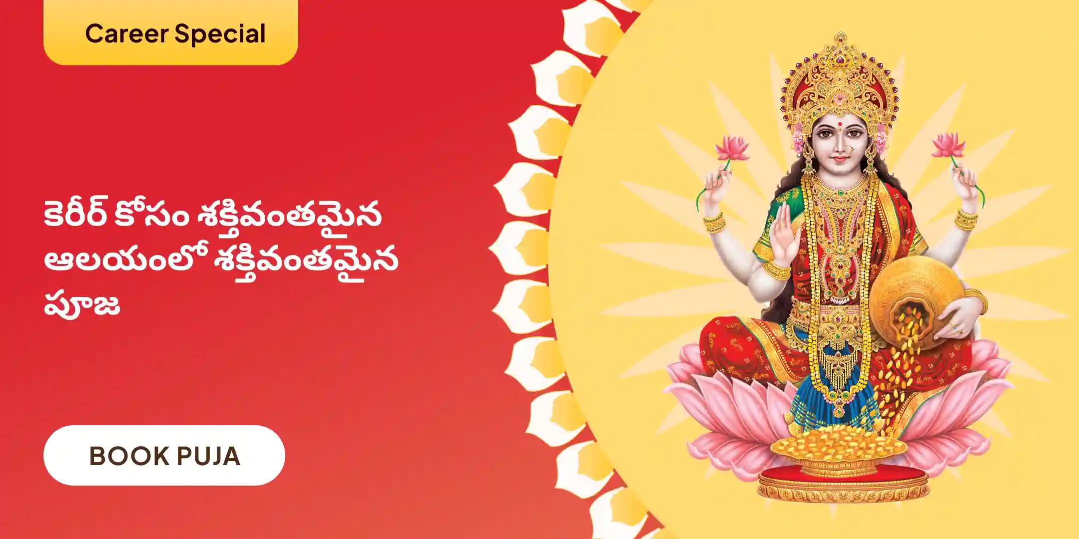 కెరీర్, నచ్చిన ఉద్యోగం మరియు ఆర్థిక స్థిరత్వం కోసం హోమం