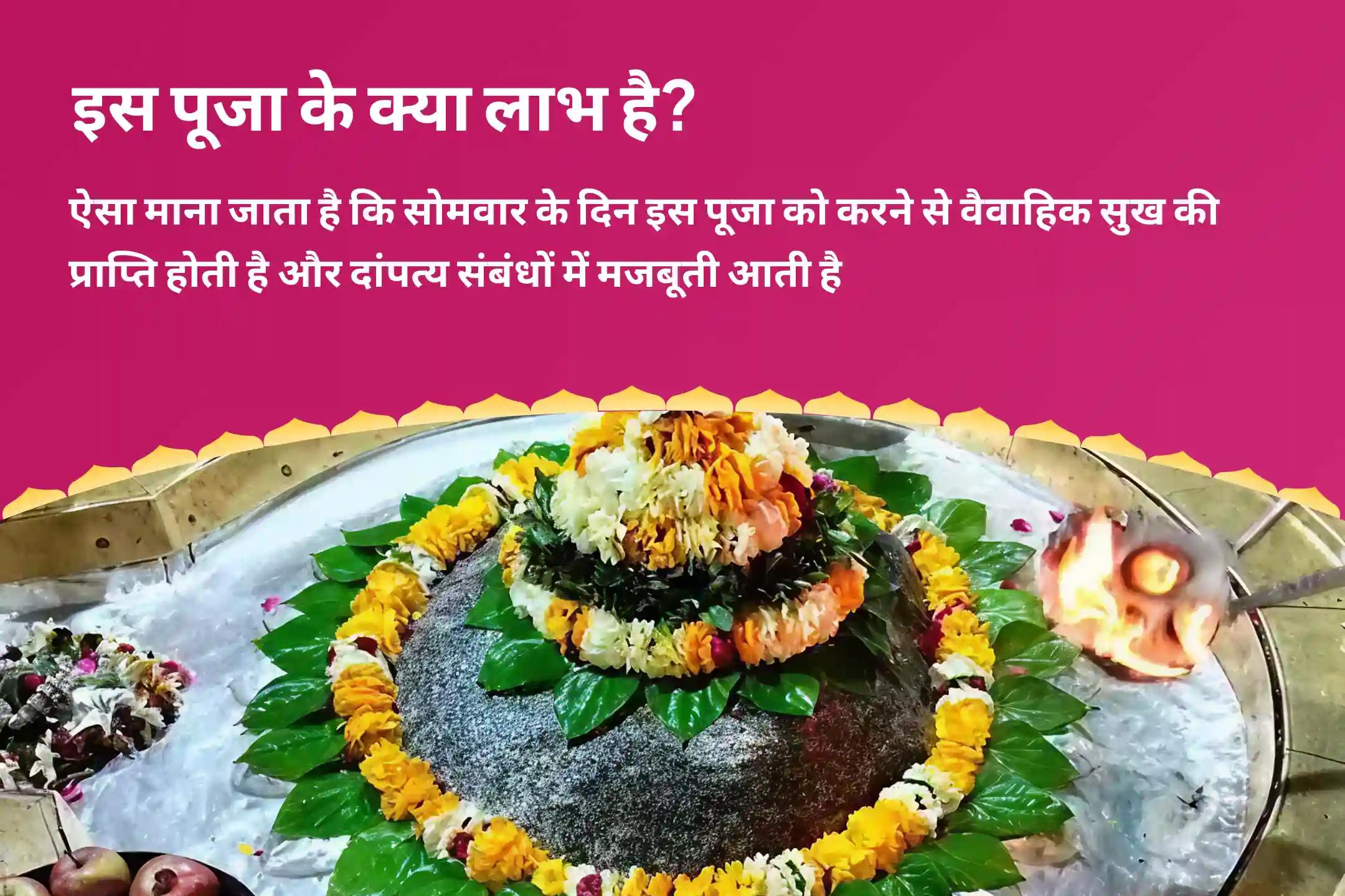 वैवाहिक आनंद और रिश्ते को मजबूत बनाने के लिए दिव्य शिव-शक्ति ऊर्जा का अनुभव करें – काशी विशेष शिव पार्वती विवाह पूजा, देवी महात्म्य पाठ और अर्धनारीश्वर पूजा