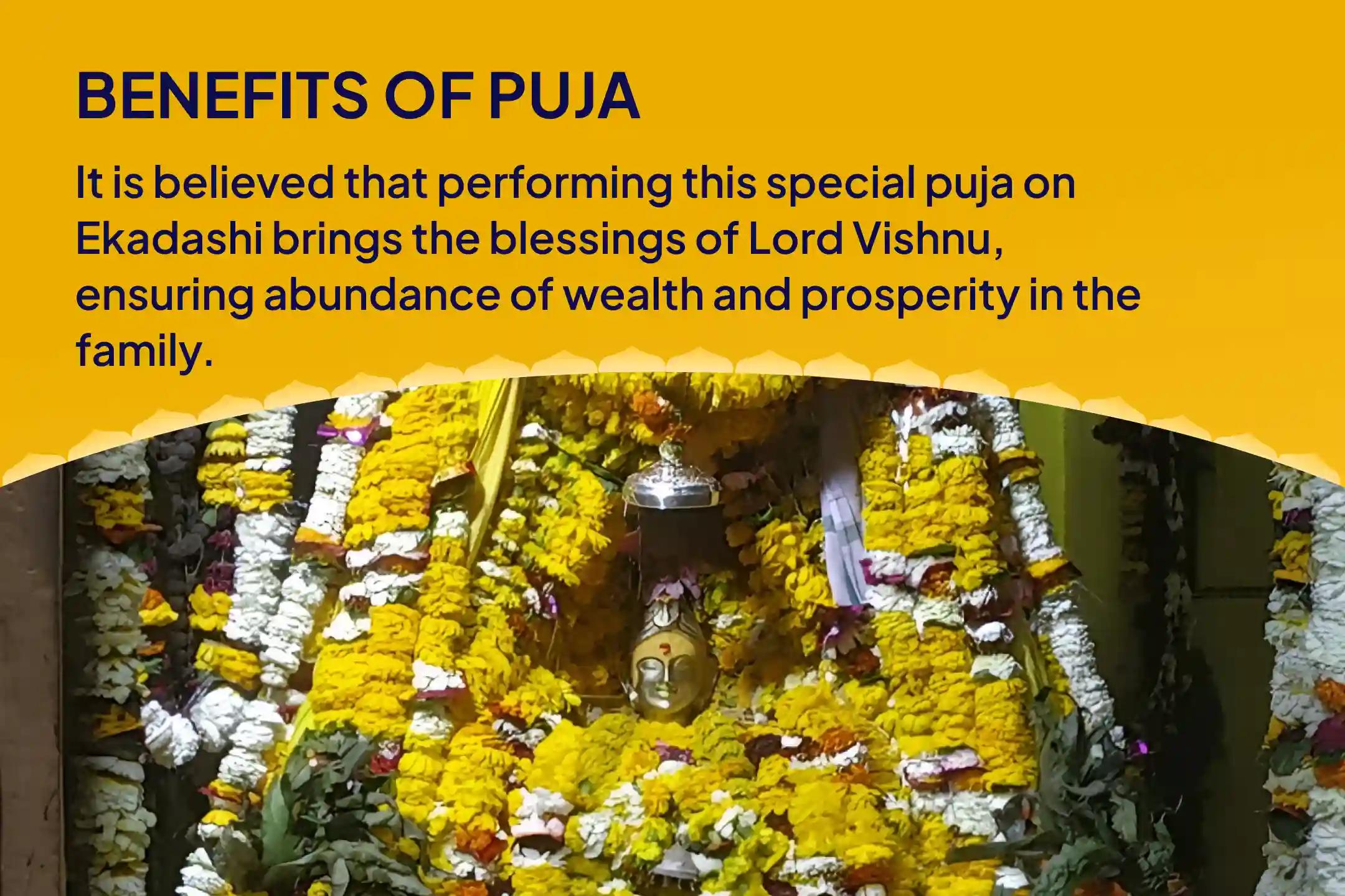 Ekadashi Wealth and Prosperity Special Vishnu Puja and Havan for Blessings of Prosperity and Abundance in Family
