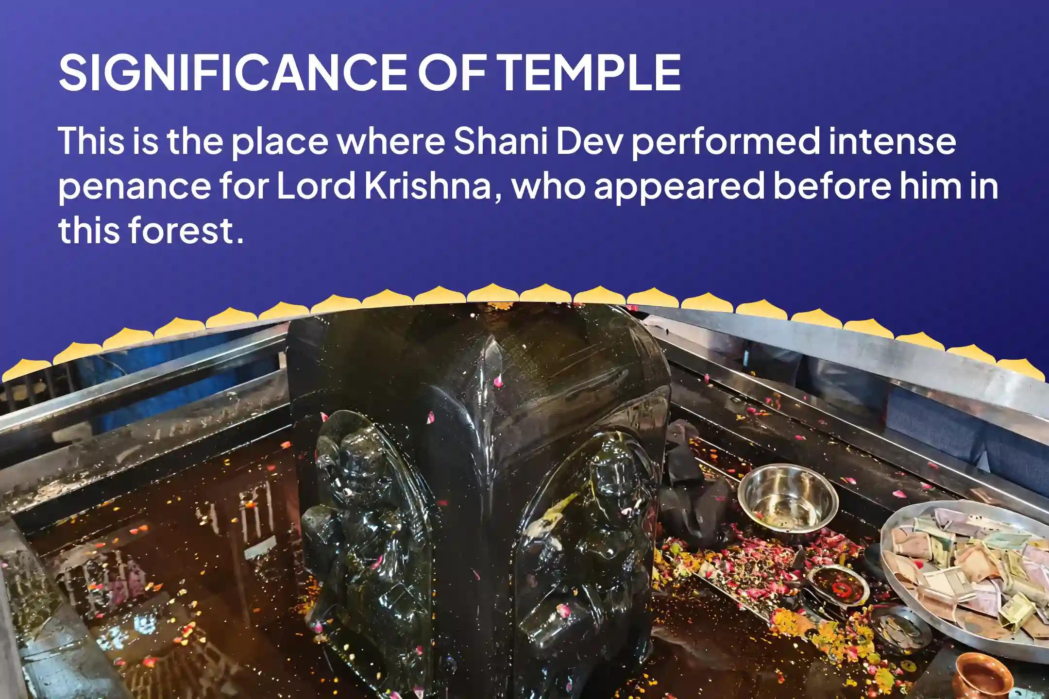 Ekadashi-Saturday Shani Shanti Archana Special Shani Shila Til Tel Abhishek and Peepal Tree Archana For Relief from Adversities, Misfortunes and Delays