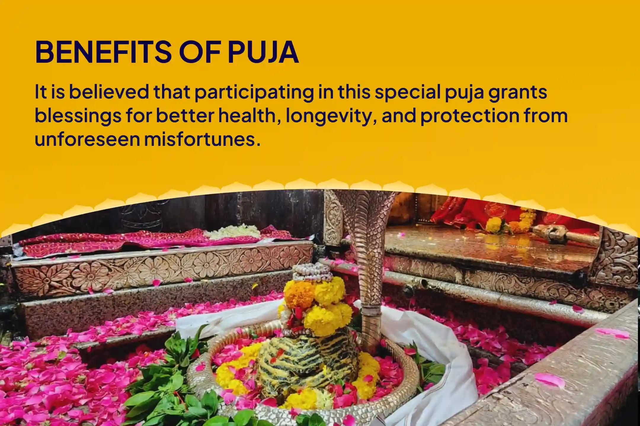 Physical and Mental Well-being Special Health and Wellness Special Puja and Yagya Invite Shiva's Divine Healing for Health and Longevity