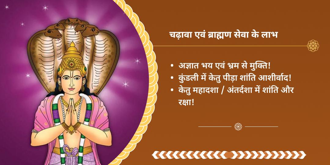मंगलवार केतु शांति प्रयागराज द्विमंदिर चढ़ावा-ब्राह्मण सेवा 