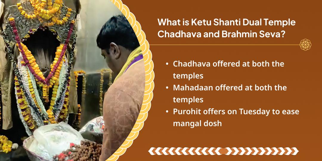 Tuesday Ketu Shanti Vasuki Takshkeshwar Chadhava and Mahadaan