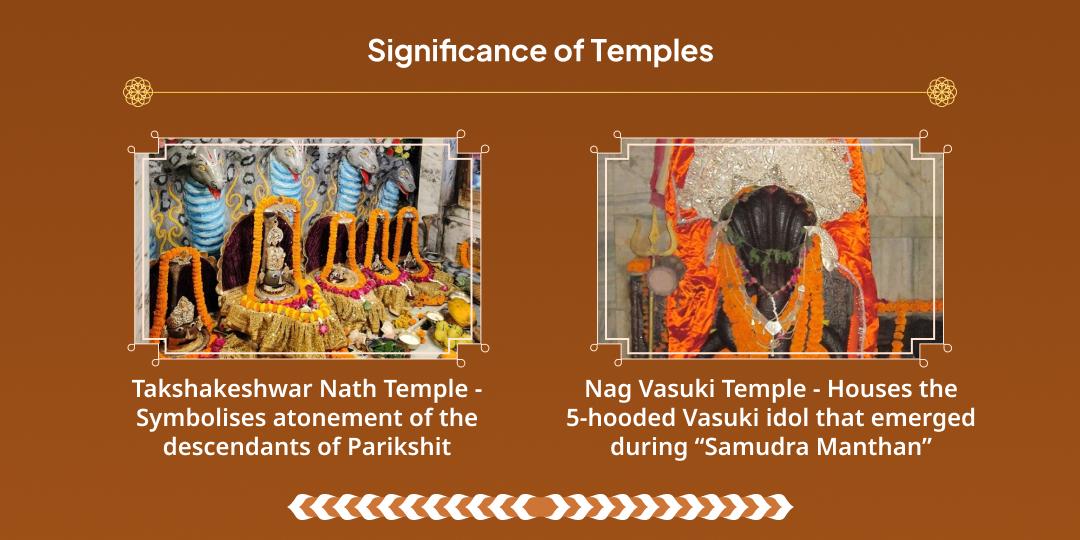Tuesday Ketu Shanti Vasuki Takshkeshwar Chadhava and Mahadaan