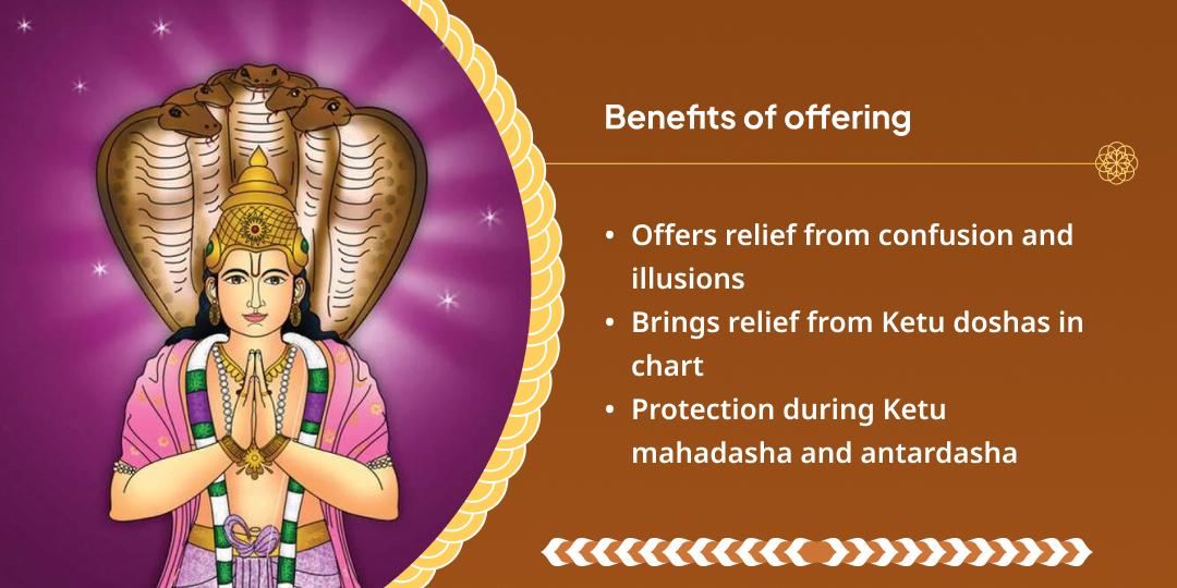 Tuesday Ketu Shanti Vasuki Takshkeshwar Chadhava and Mahadaan