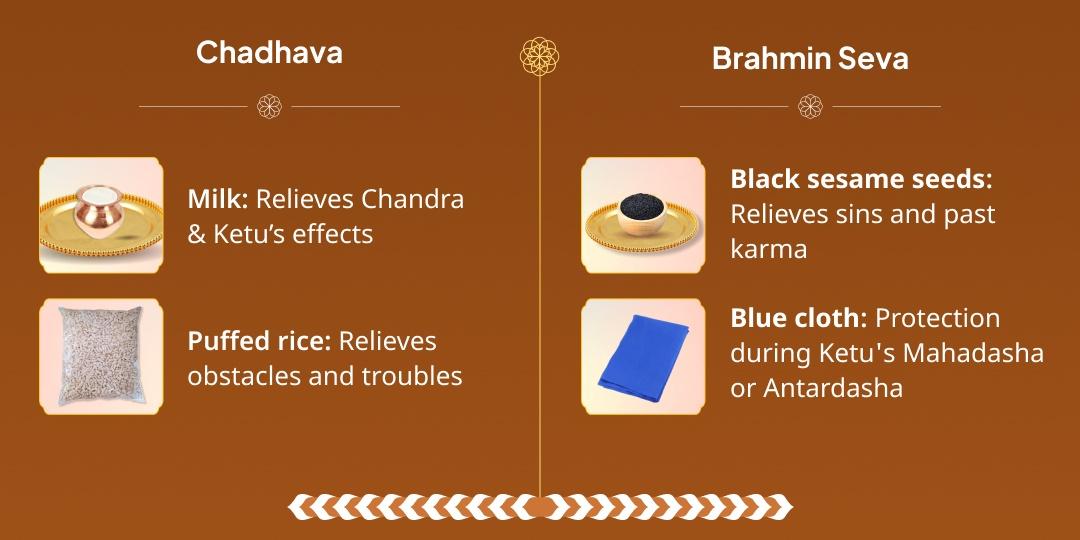 Tuesday Ketu Shanti Vasuki Takshkeshwar Chadhava and Mahadaan