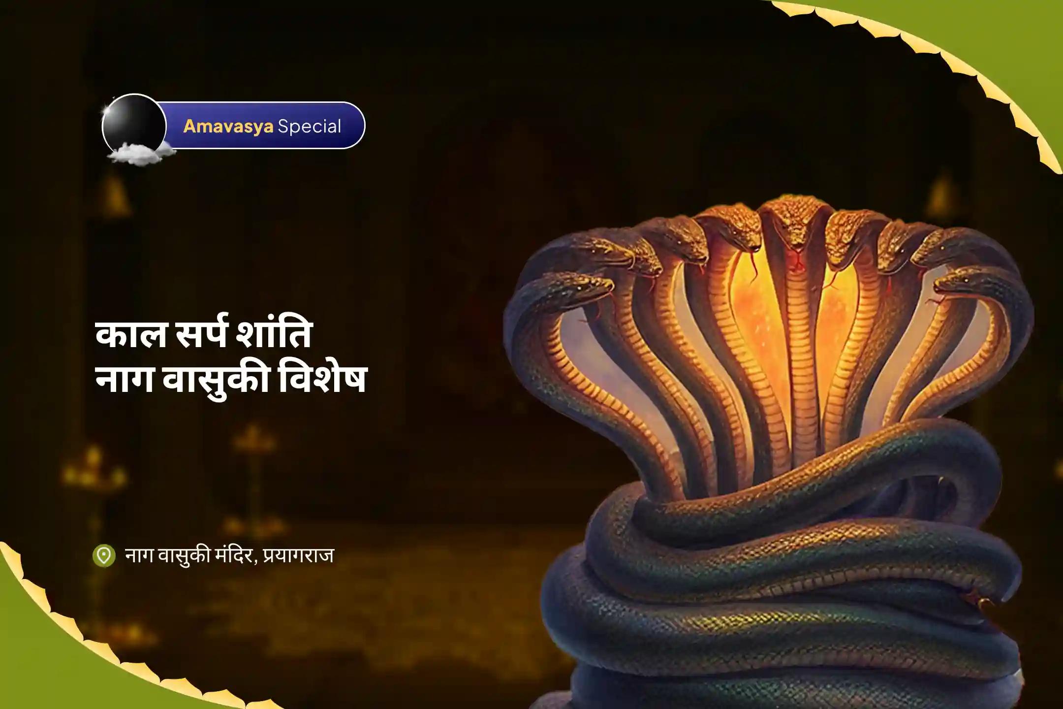 निडरता और मानसिक स्थिरता प्राप्त करने के लिए अमावस्या काल सर्प शांति नाग वासुकी विशेष काल सर्प दोष शांति पूजा एवं शिव रुद्राभिषेक