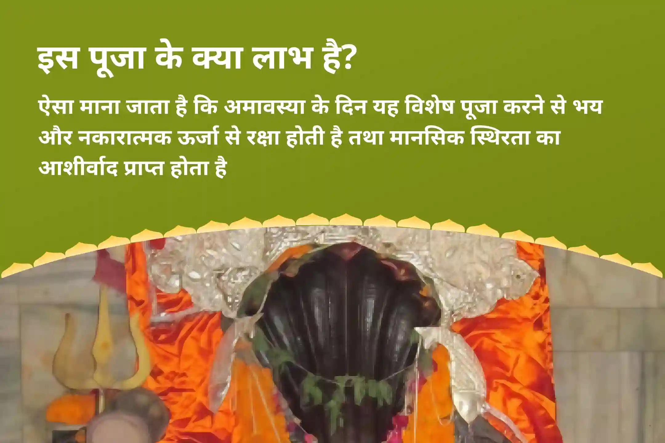 निडरता और मानसिक स्थिरता प्राप्त करने के लिए अमावस्या काल सर्प शांति नाग वासुकी विशेष काल सर्प दोष शांति पूजा एवं शिव रुद्राभिषेक