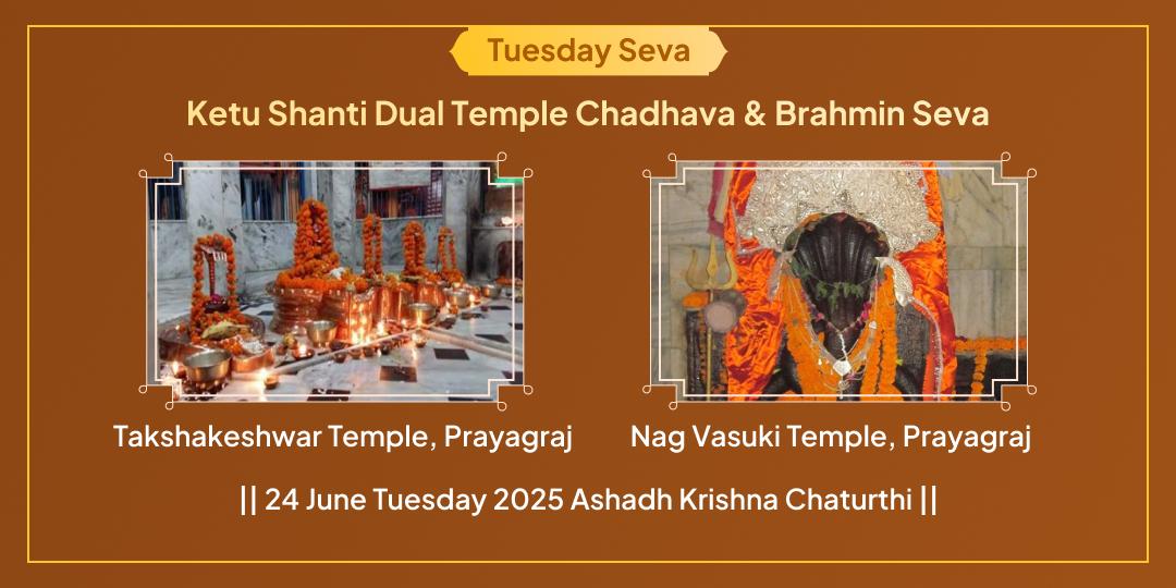 Tuesday Ketu Shanti Vasuki Takshkeshwar Chadhava and Mahadaan