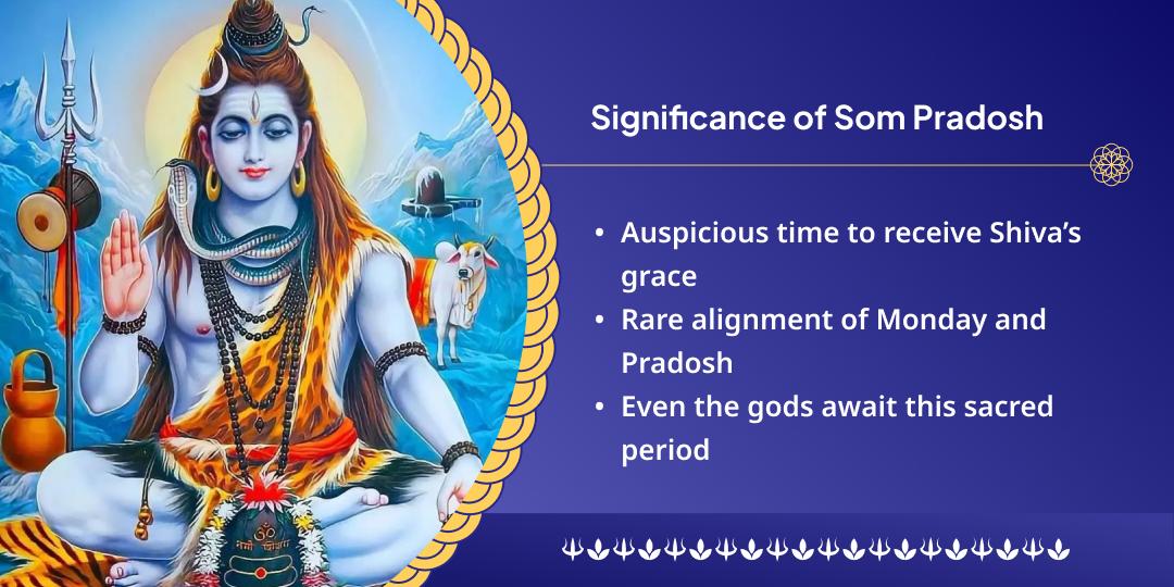 Som Pradosh Mahamrityunjaya Hawan Aahuti Daan