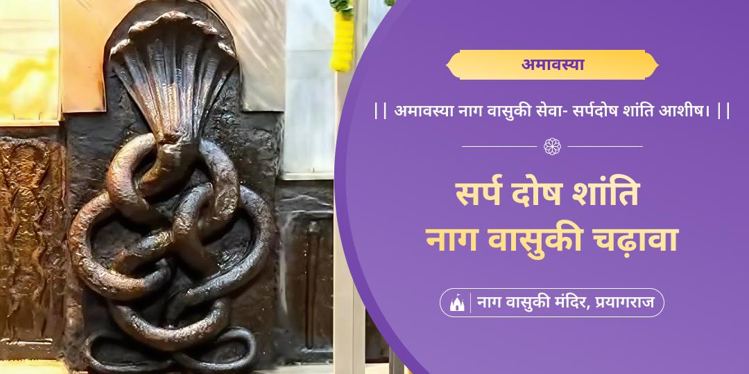 अमावस्या सर्प दोष शांति नाग वासुकी चढ़ावा