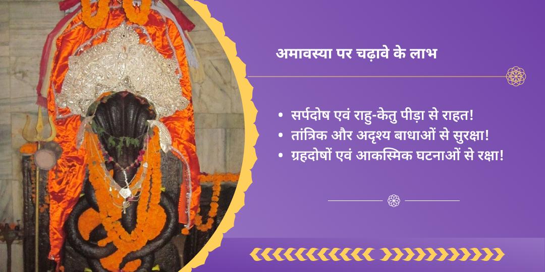 अमावस्या सर्प दोष शांति नाग वासुकी चढ़ावा
