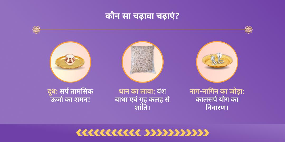 अमावस्या सर्प दोष शांति नाग वासुकी चढ़ावा