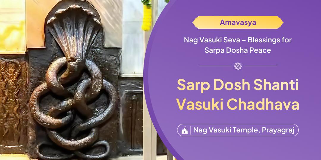 Perform Nag Vasuki Chadhava on Amavasya to Ease Sarp Dosh Effects!