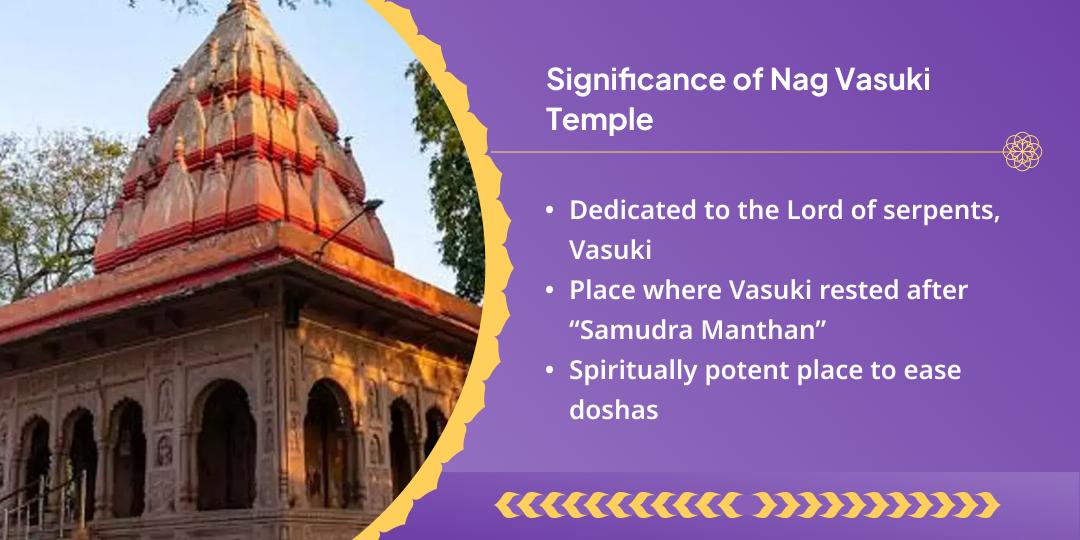 Amavasya Sarp Dosh Shanti Naag Vasuki Chadhava