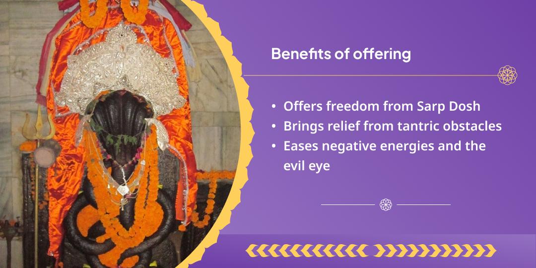 Amavasya Sarp Dosh Shanti Naag Vasuki Chadhava