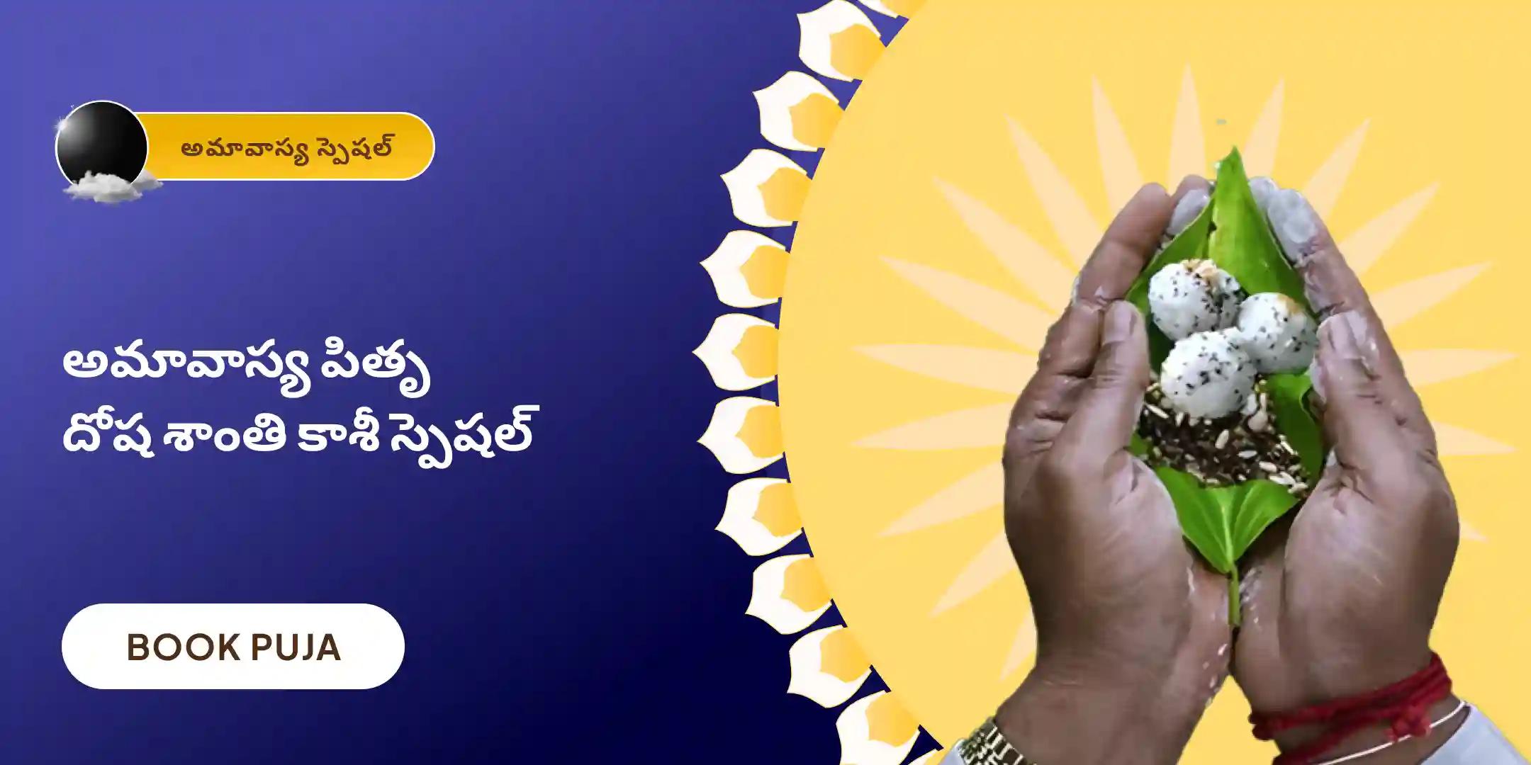 పితృ దోష శాంతి పూజ & కాశీ గంగా హారతి