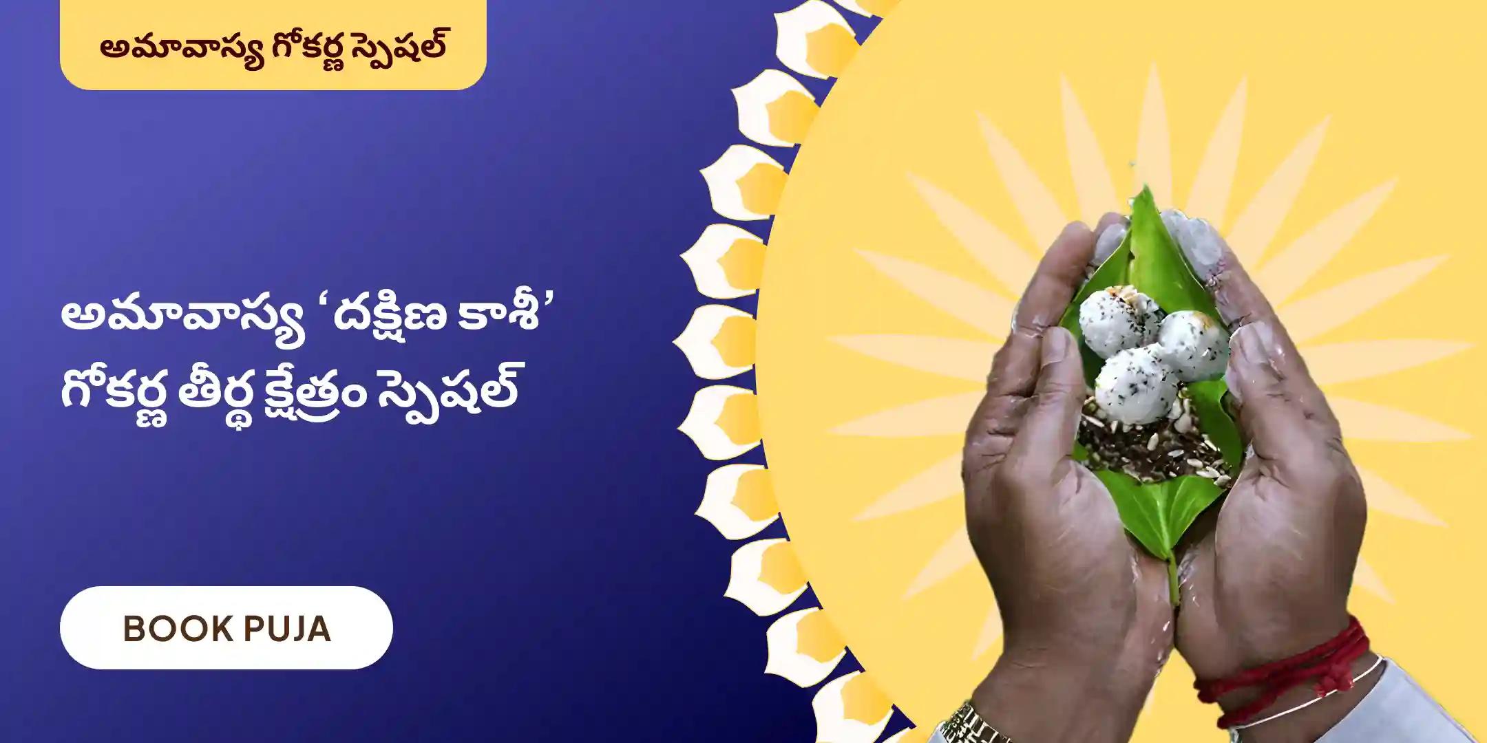 నారాయణ బలి, త్రిపిండి శ్రాద్ధం మరియు తిల హోమం 