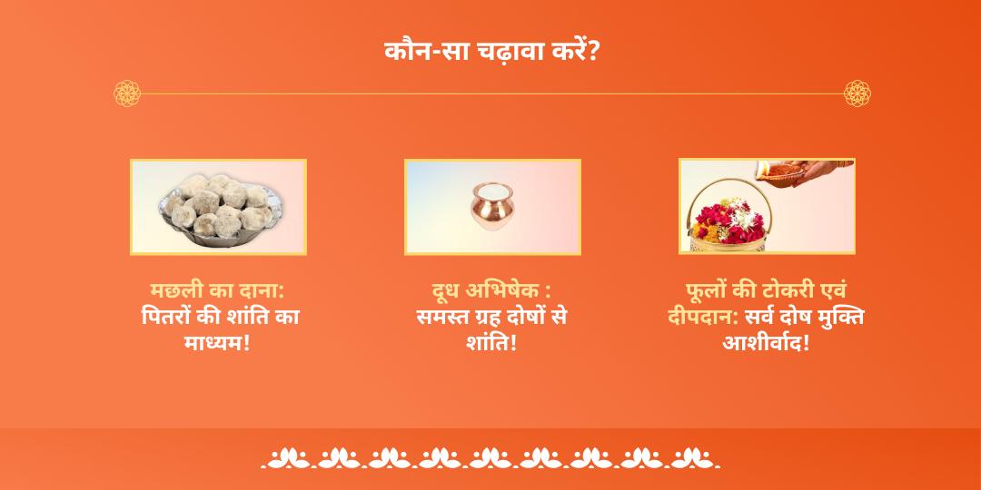 अमावस्या तीर्थराज प्रयाग त्रिवेणी संगम चढ़ावा