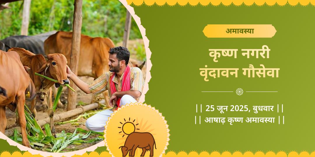 अमावस्या कृष्ण नगरी वृंदावन गौसेवा