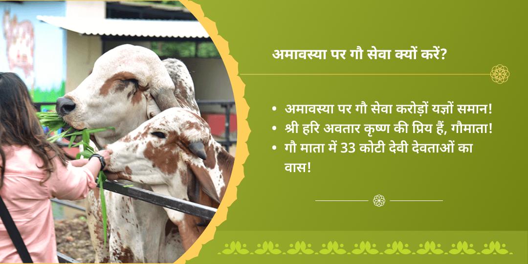 अमावस्या कृष्ण नगरी वृंदावन गौसेवा