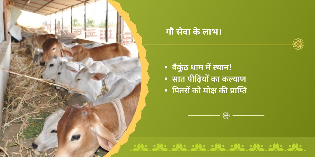 अमावस्या कृष्ण नगरी वृंदावन गौसेवा