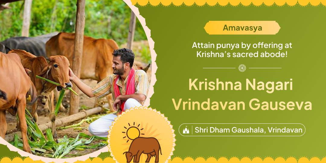 Invite a sacred chance to earn punya with gau seva at Krishna’s Vrindavan on Amavasya!