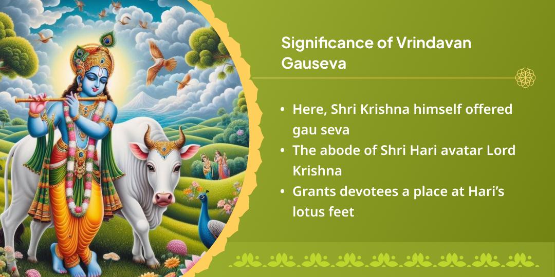 Amavasya Krishna Nagari Vrindavan Gauseva