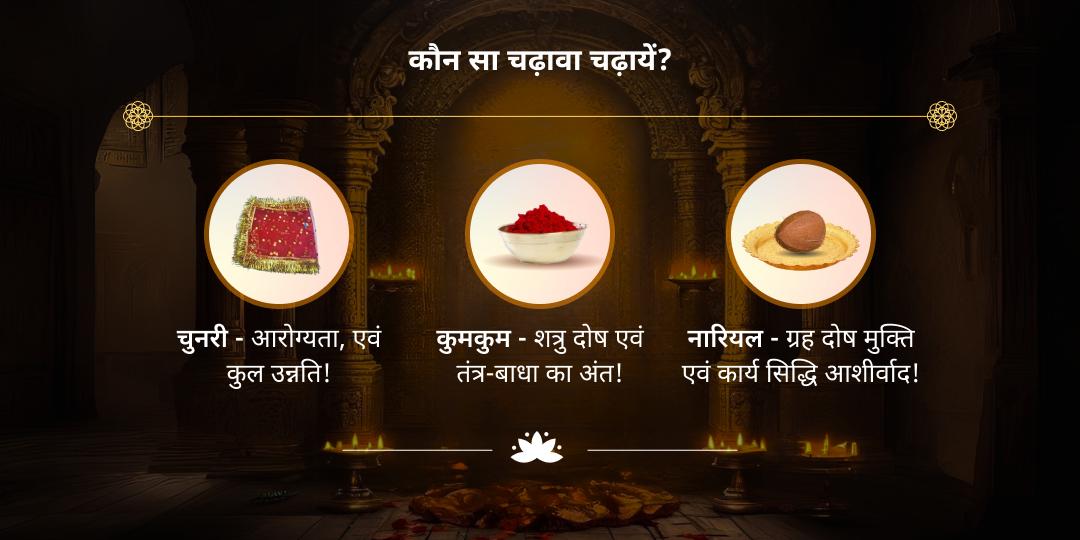 गुप्त नवरात्रि प्रथम दिवस 10 महाविद्या चढ़ावा