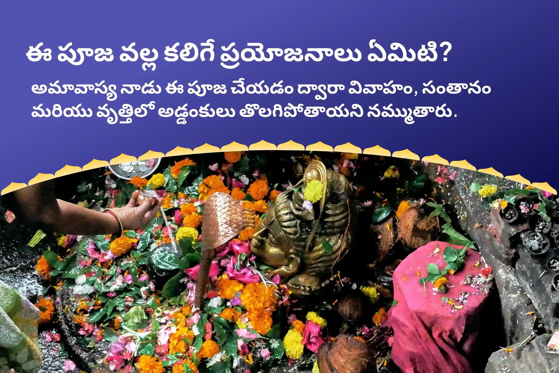 త్రయంబకేశ్వర జ్యోతిర్లింగ అమావాస్య స్పెషల్ కాల సర్ప దోష శాంతి పూజ వివాహం, సంతానం మరియు వృత్తిలో సమస్యలను అధిగమించడానికి