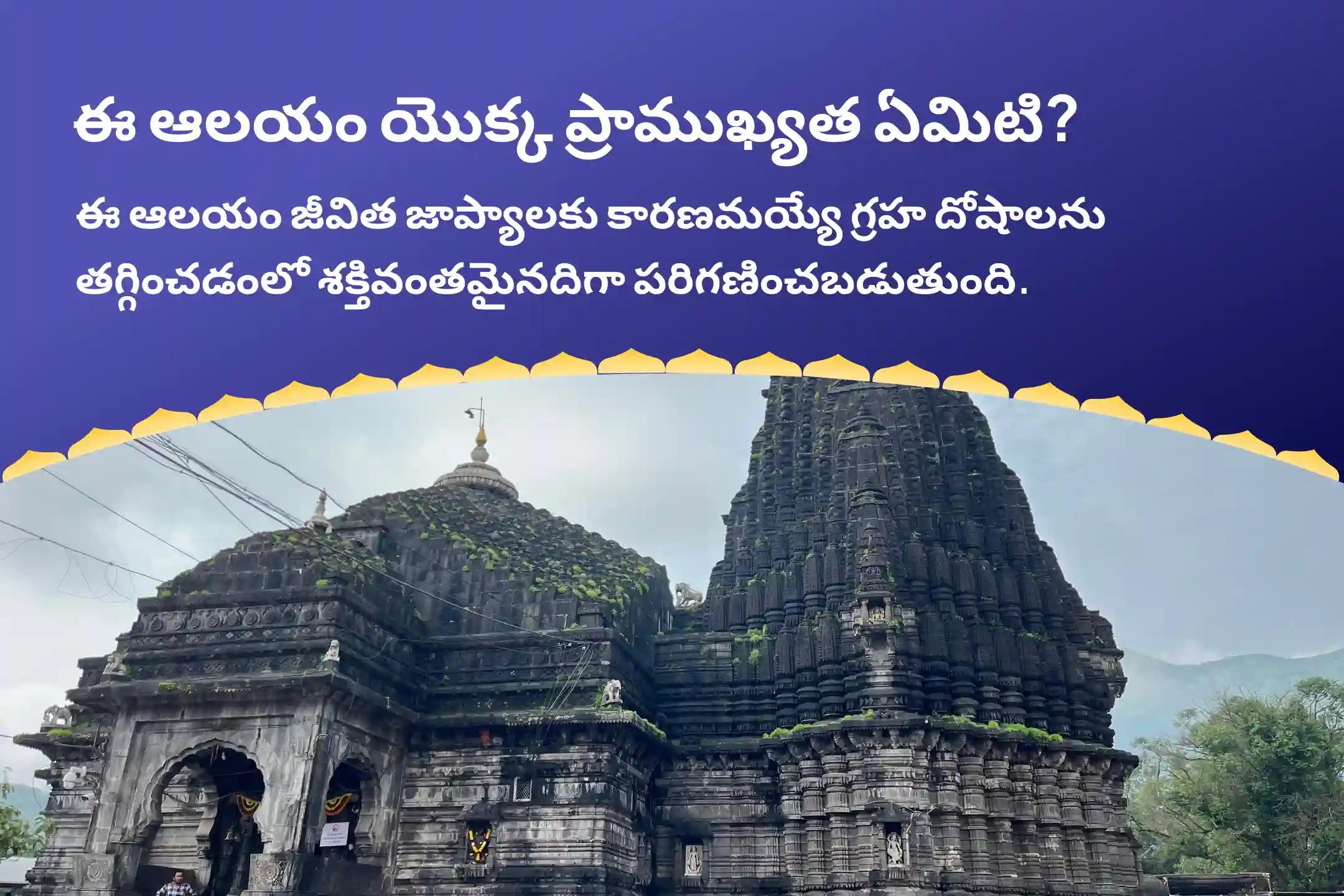 త్రయంబకేశ్వర జ్యోతిర్లింగ అమావాస్య స్పెషల్ కాల సర్ప దోష శాంతి పూజ వివాహం, సంతానం మరియు వృత్తిలో సమస్యలను అధిగమించడానికి