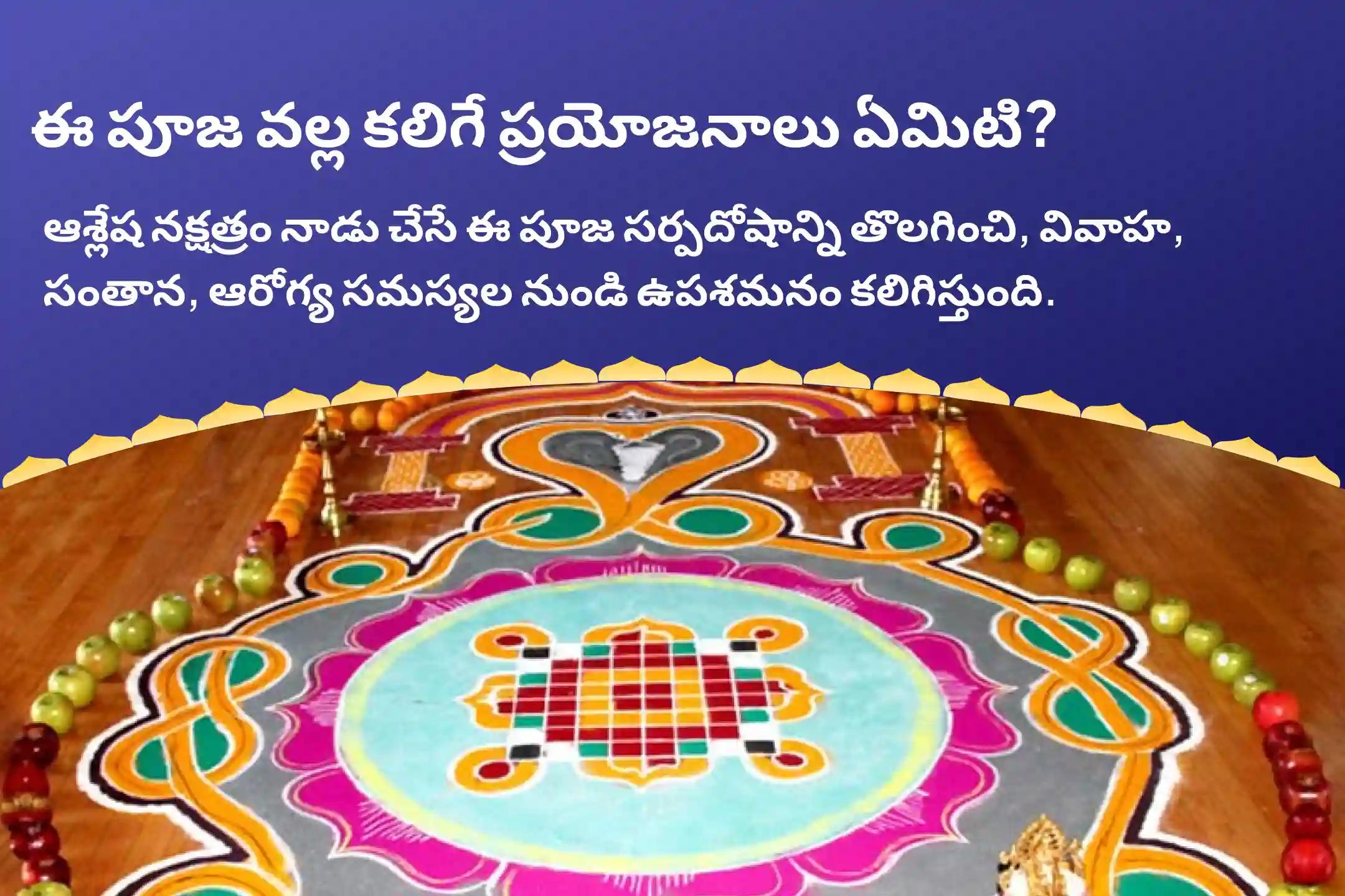 సర్ప (నాగ) దోషం యొక్క దుష్ప్రభావాలను తొలగించి, కర్మ పాపాలను ప్రక్షాళన చేసుకోవడం కొరకు ఆశ్లేష నక్షత్ర గోకర్ణ స్పెషల్ ఆశ్లేష నాగబలి పూజలో పాల్గొనండి.