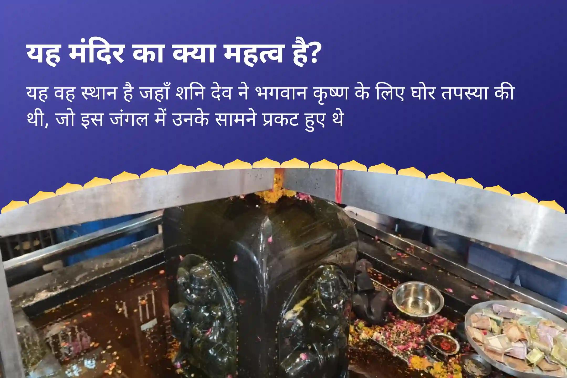 जीवन में चुनौतियों और बाधाओं पर नियंत्रण का आशीष पाने के लिए शनि के आशीर्वाद से असफलता को जीत में बदलें। शनि शांति महापूजा एवं यज्ञ