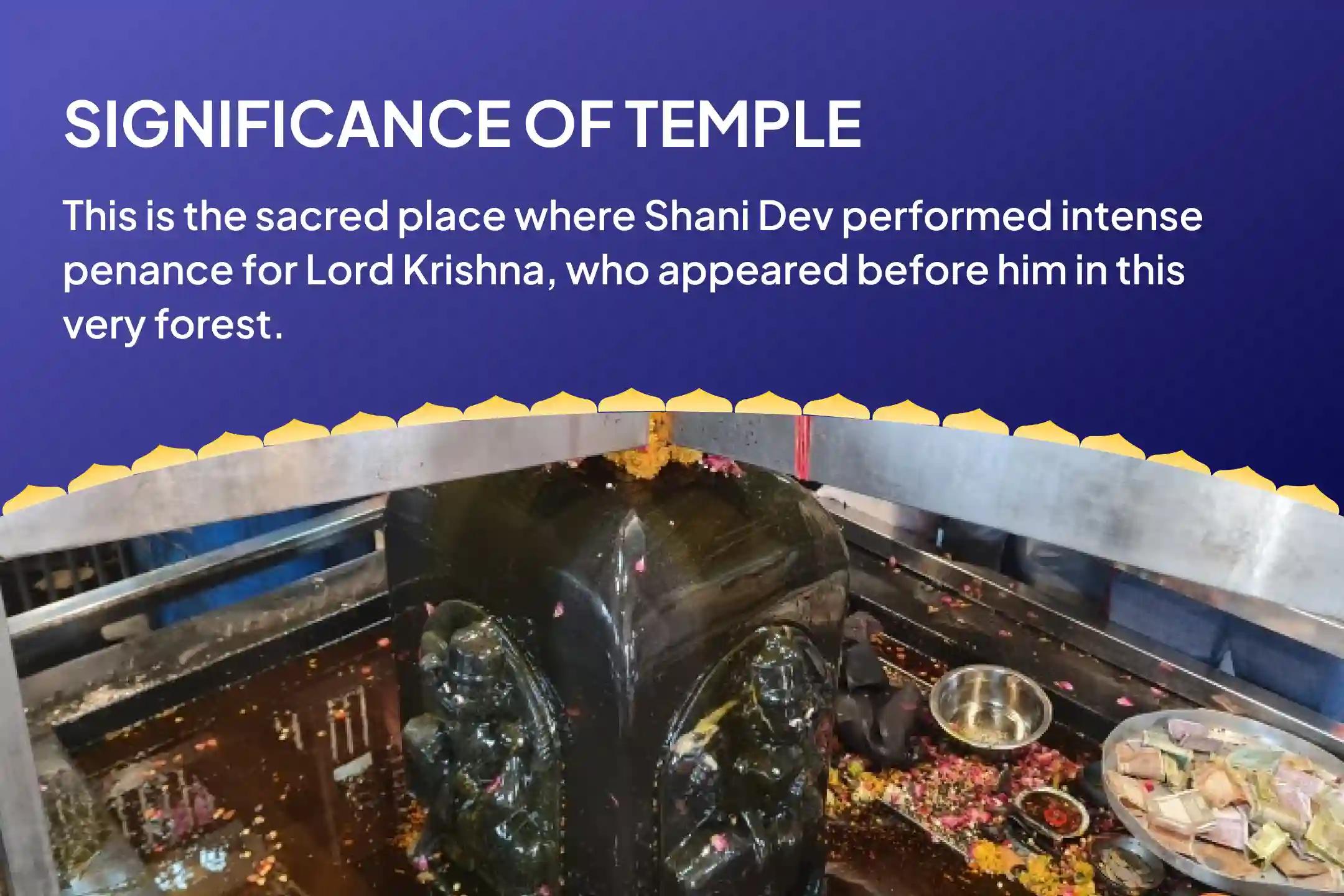 Turn Setbacks into Triumphs with Shani’s Blessings! Shani Shanti Mahapuja and Yagya for Overcoming Challenges and Adversities in Life