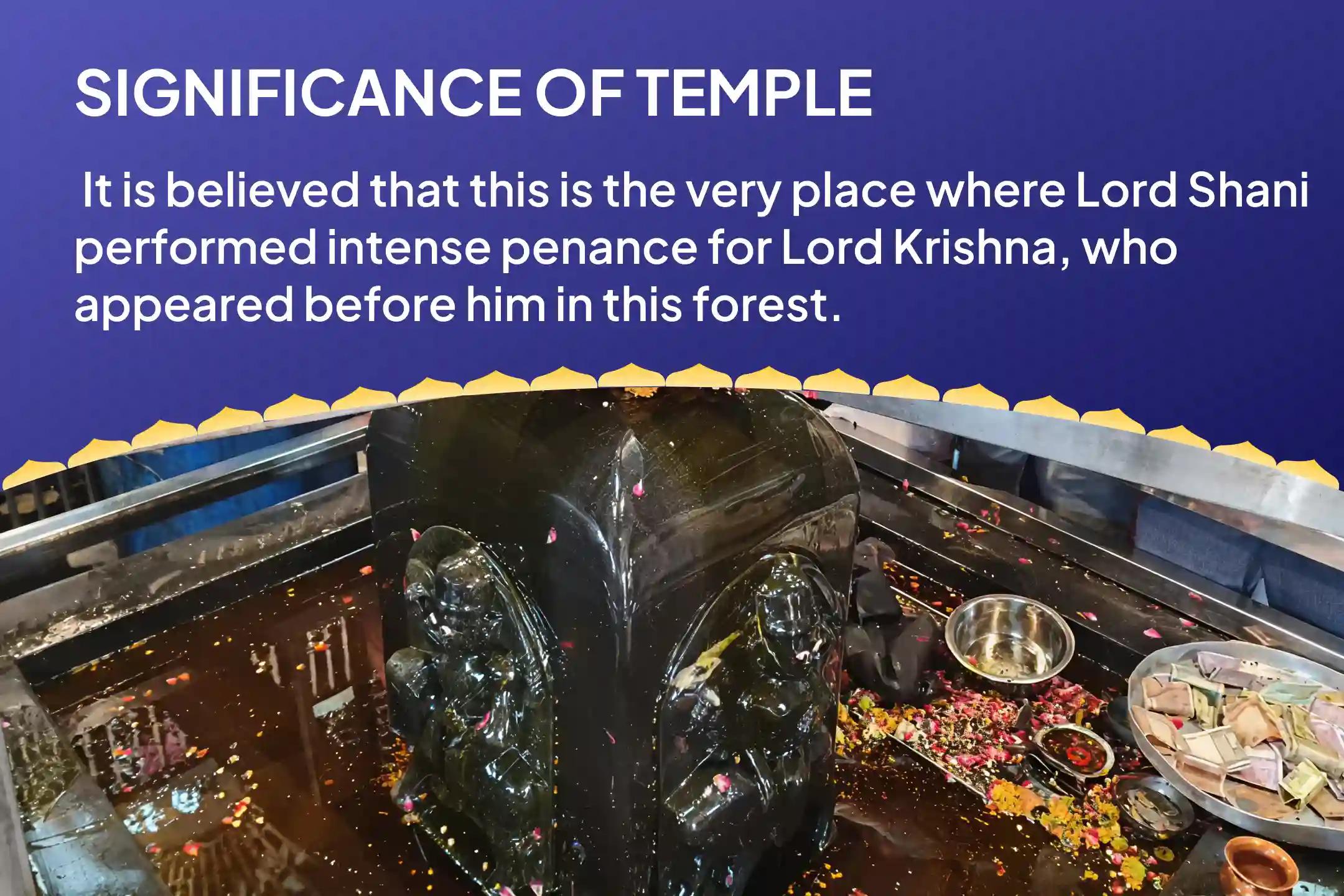 Saturday Peepal Tree Shani Shila Sthapana Special Shani Kavach Stotra Path, Krishna Govinda Mantra Jaap, and Shani Shanti Yagya Best Remedy for Saade Saati and Dhaiya Afflictions