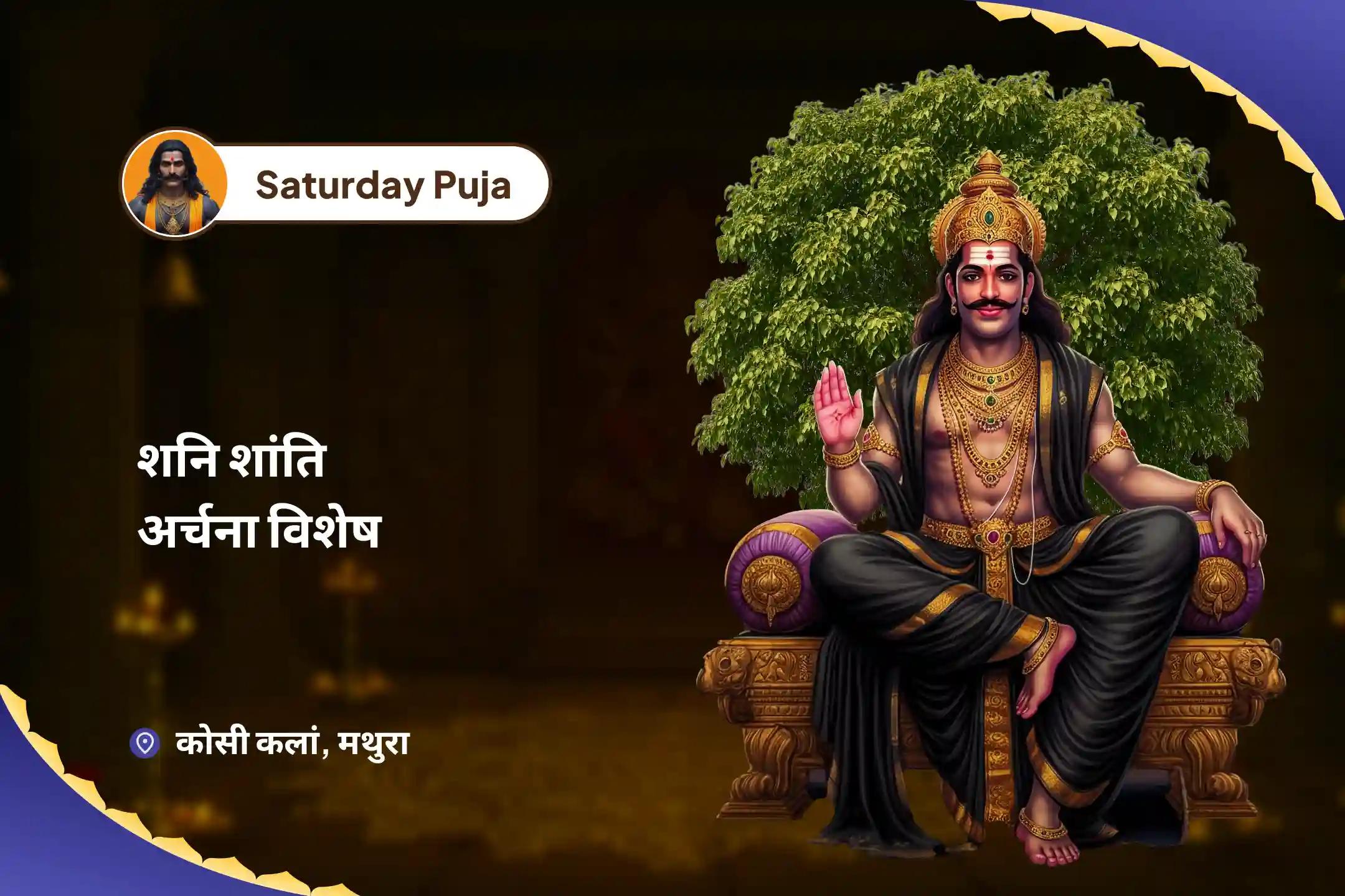 विपत्ति, दुर्भाग्य और विलम्ब से राहत के लिए शनिवार शनि शांति अर्चना विशेष शनि शिला तिल तेल अभिषेक एवं पीपल वृक्ष अर्चना