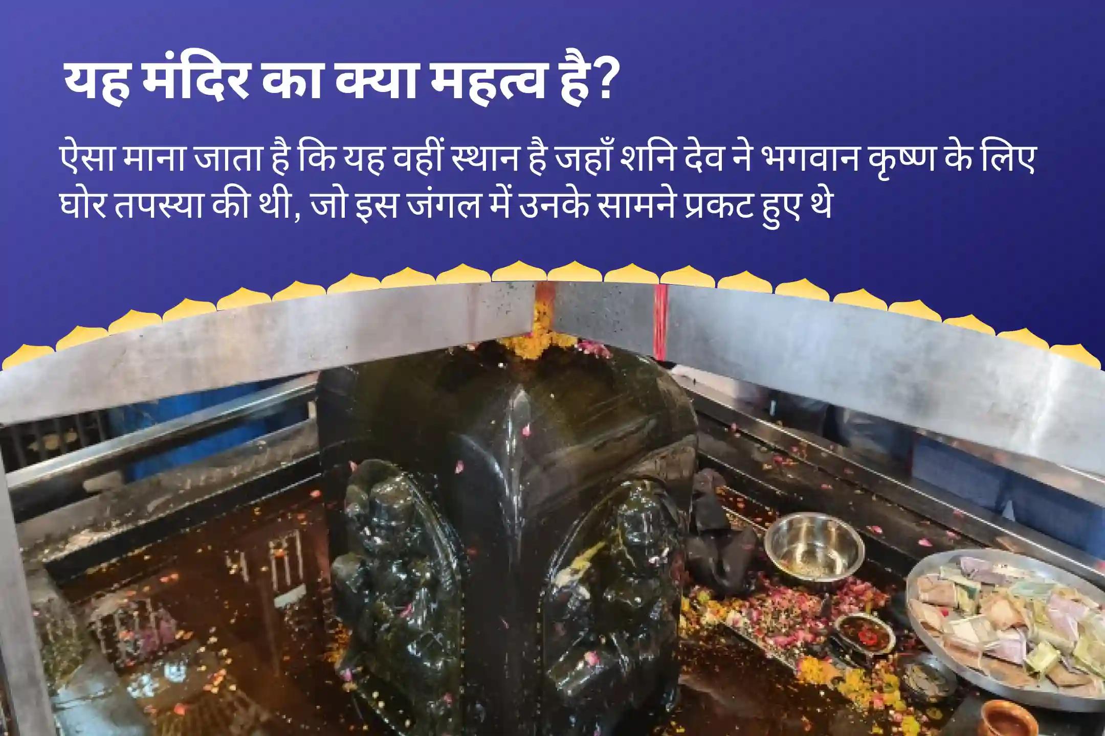 विपत्ति, दुर्भाग्य और विलम्ब से राहत के लिए शनिवार शनि शांति अर्चना विशेष शनि शिला तिल तेल अभिषेक एवं पीपल वृक्ष अर्चना