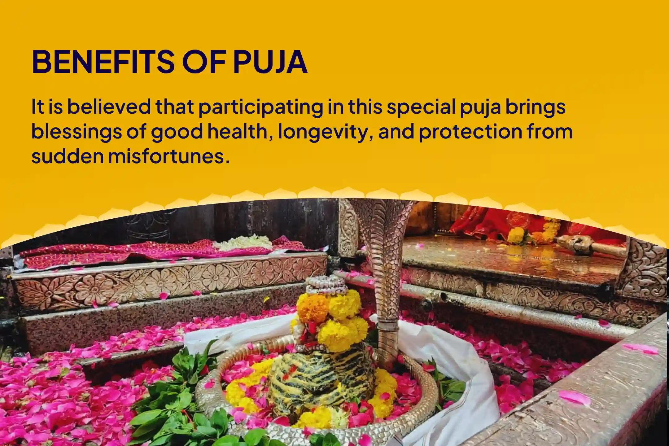 Physical and Mental Well-being Special Health and Wellness Special Puja and Yagya Invite Shiva's Divine Healing for Health and Longevity