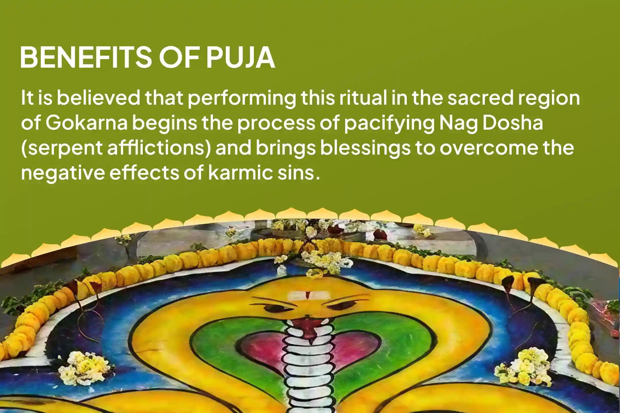 Ashlesha Nakshatra Gokarna Special Ashlesha Naag Bali Puja To remove the malicious effects of Sarpa (naga) dosha and celan karmic sins