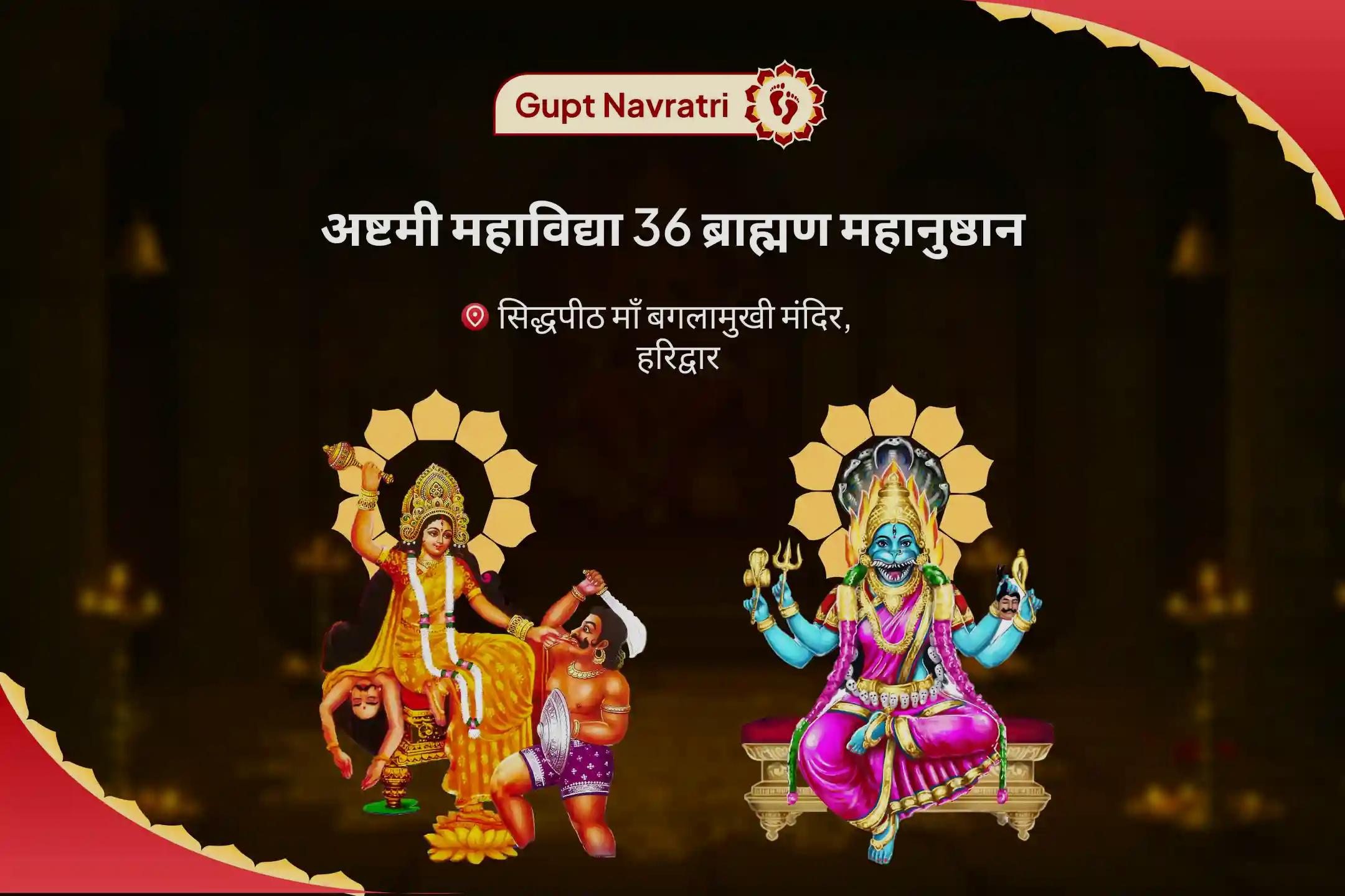 बुरी ऊर्जाओं और नकारात्मक प्रभावों को दूर करने के लिए देवी की सुरक्षा गुप्त नवरात्रि अष्टमी महाविद्या 36 ब्राह्मण महानुष्ठान बगलामुखी-प्रत्यंगिरा कवच पाठ, 1,25,000 बगलामुखी मूल मंत्र जाप और हवन
