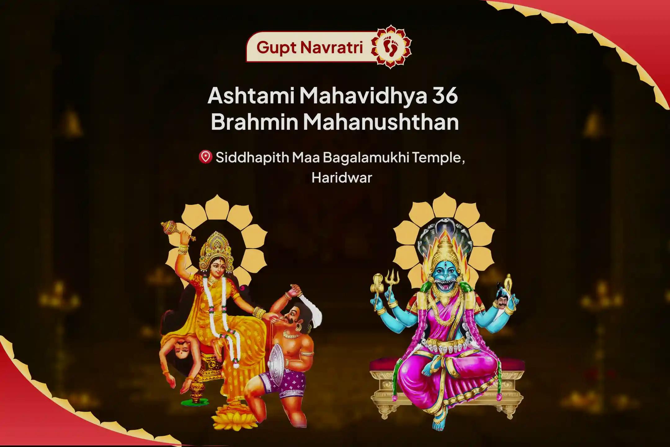 Gupt Navratri Ashtami Mahavidhya 36 Brahmin Mahanushthan Bagalamukhi-Pratyangira Kavach Path, 1,25,000 Bagalamukhi Mool Mantra Jaap and Havan for Devi's Protection to Repel Malevolent Energies and Negative Influences