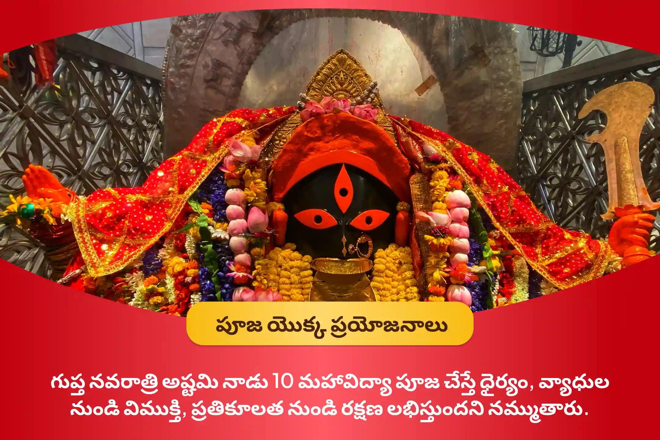 శత్రువులు, వ్యాధుల నుండి రక్షణ మరియు ధైర్యం కోసంగుప్త నవరాత్రి దుర్గాష్టమి మహావిద్యా అనుష్ఠానమైన దశ(10) మహావిద్యా పూజ, సంకల్పం మరియు తంత్రోక్త హోమంలో పాల్గొనండి.