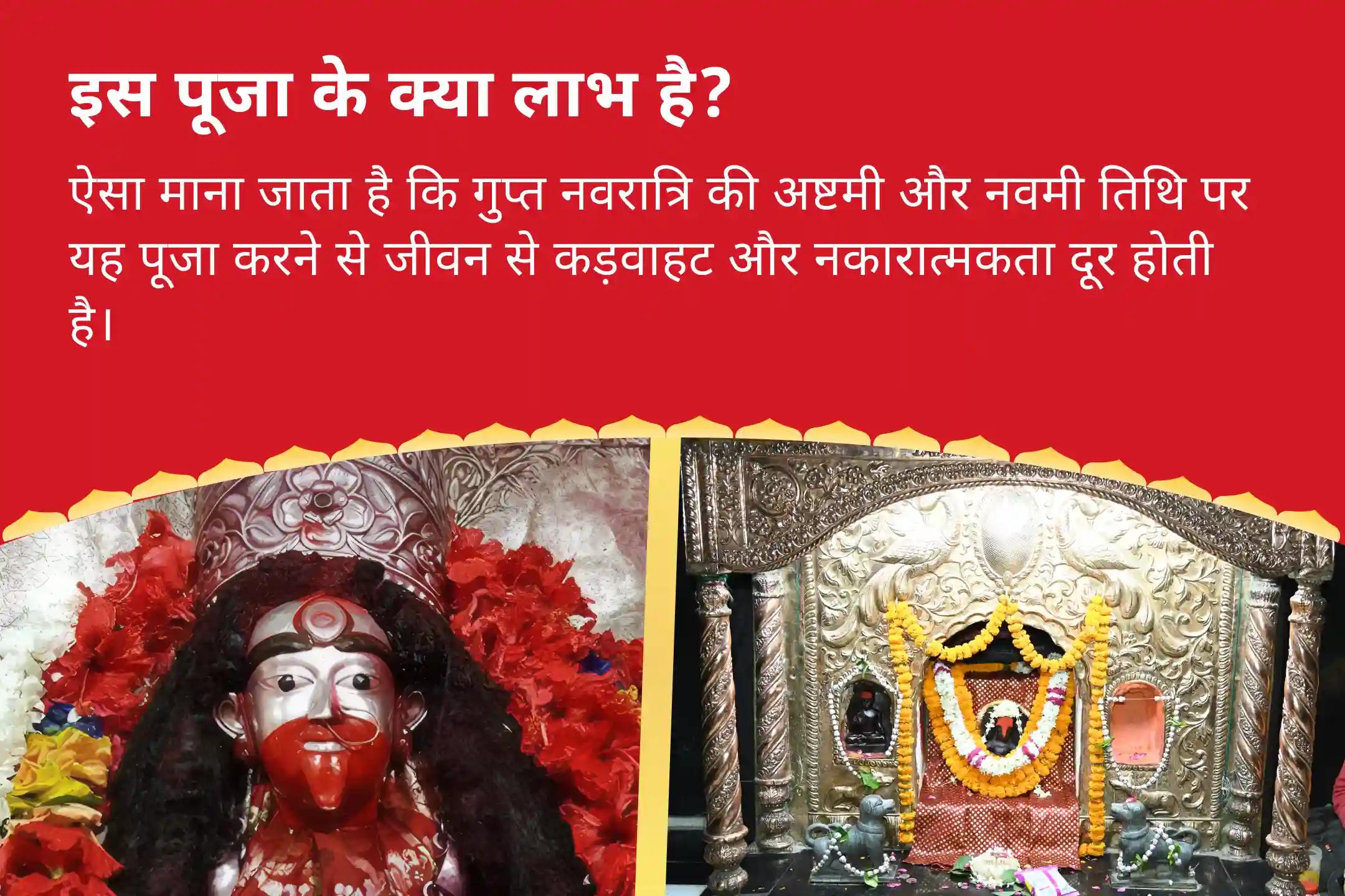 जीवन से कड़वाहट और नकारात्मकता को दूर करने के लिए गुप्त नवरात्रि अष्टमी एवं नवमी कॉम्बो विशेष अष्टमी नीलकंठेश्वर रुद्राभिषेक, मां तारा तंत्रोक्त यज्ञ एवं नवमी कन्या पूजन एवं भोज