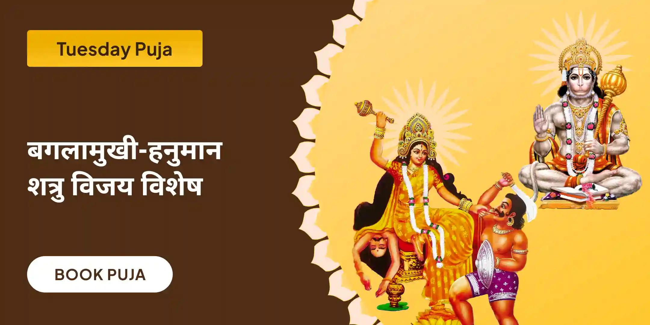 माँ बगलामुखी शत्रु बुद्धि विनाशिनी यज्ञ एवं हनुमान शत्रुंजय पूजन