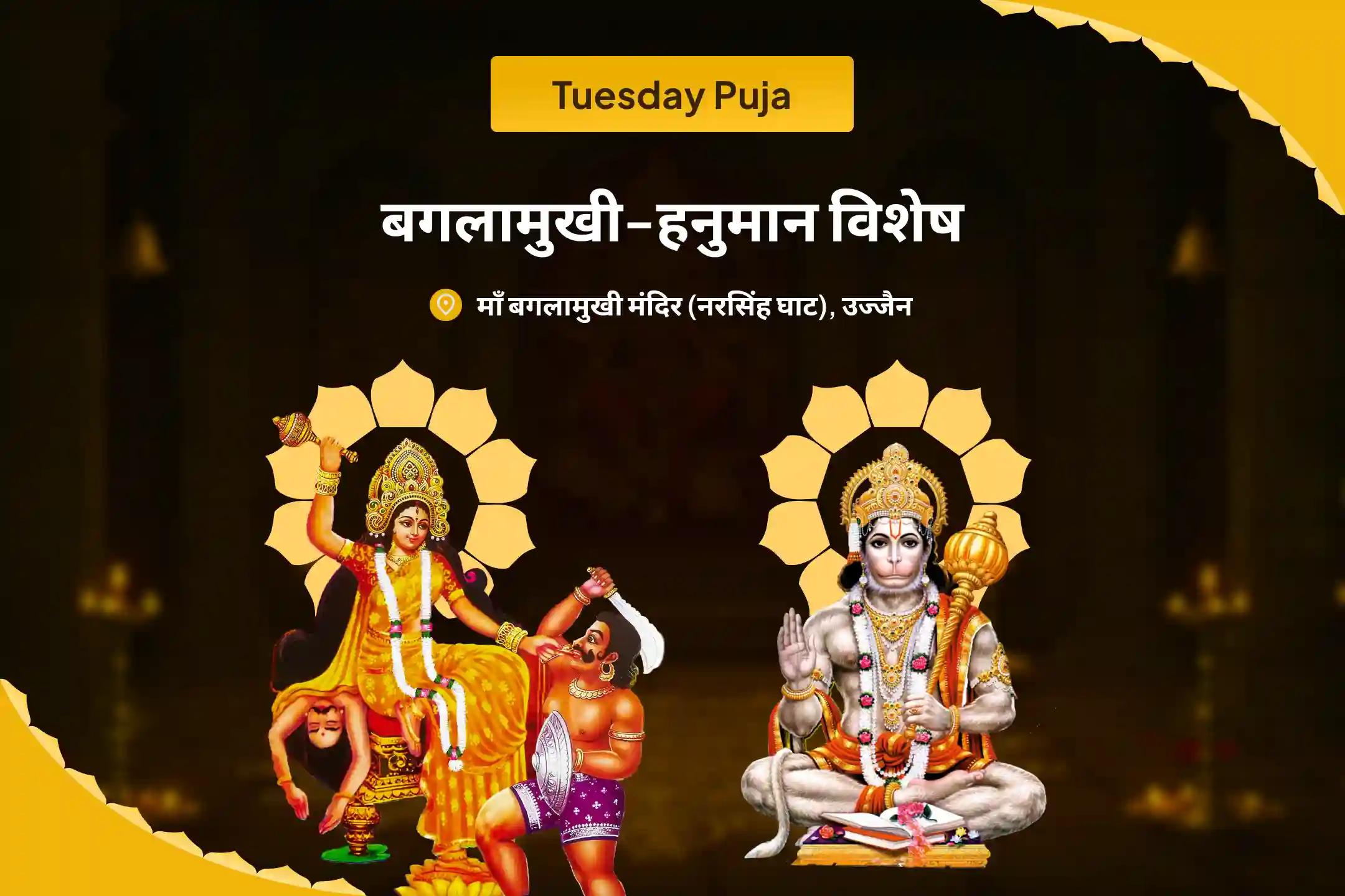 शत्रुओं से सुरक्षा और नकारात्मकता को नष्ट करने के लिए बगलामुखी-हनुमान शत्रुओं पर विजय विशेष माँ बगलामुखी शत्रु बुद्धि विनाशिनी यज्ञ एवं हनुमान शत्रुंजय पूजन