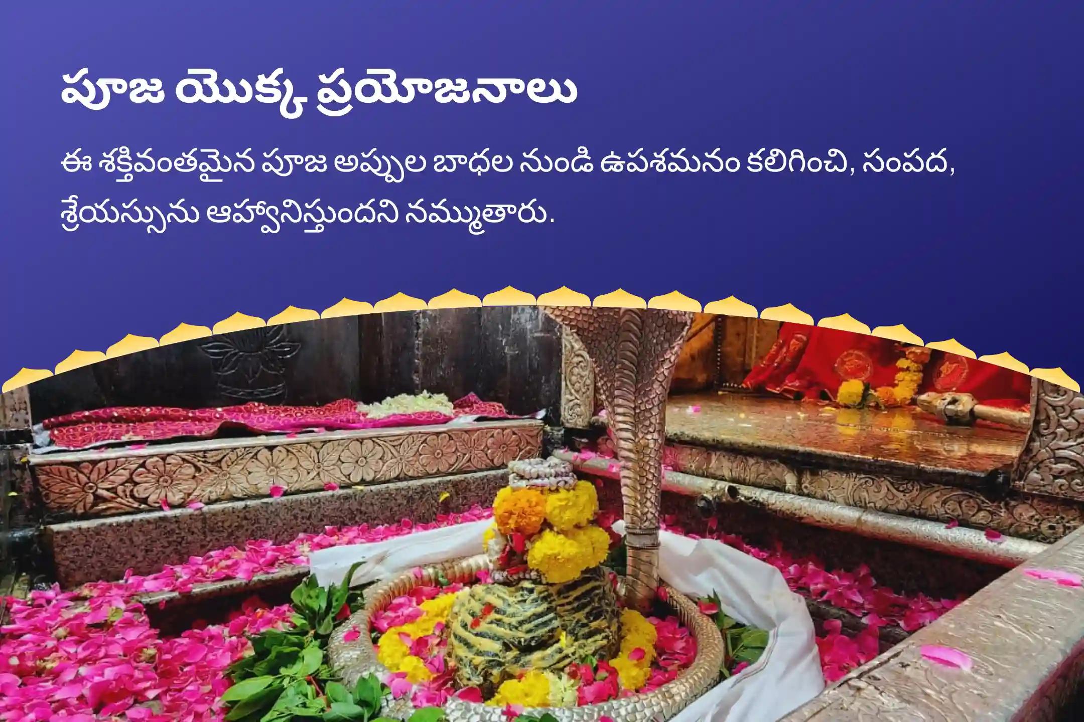 భౌమ ప్రదోషం రుణ విముక్తి స్పెషల్ శివ రుణ విమోచన పూజ మరియు రుద్రాభిషేకం రుణ విముక్తి మరియు సంపద సమృద్ధి కోసం