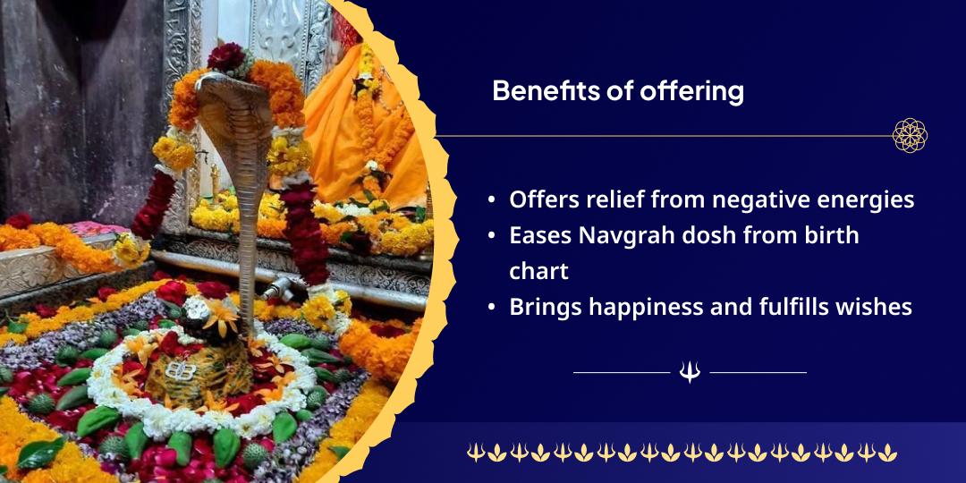 First Sawan Omkareshwar Jyotirlinga Chadhava