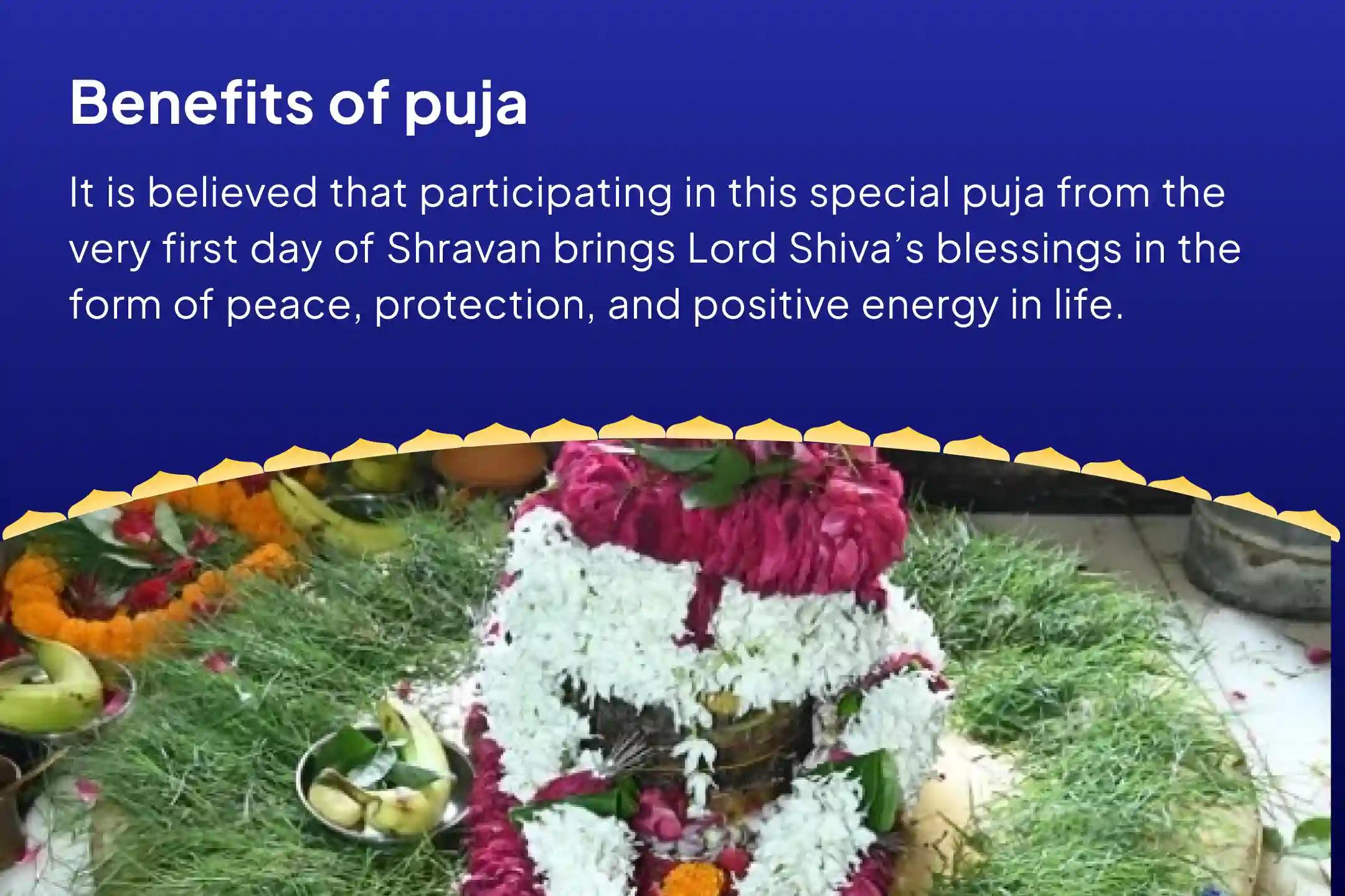Shravan Begins - 30 Days Puja Shravan Akhand Shivarchana: 30 Days Daily Rudrabhishek & 1.25 Lakh Panchakshari Jaap To Receive Blessings for Peace, Protection, and Positivity