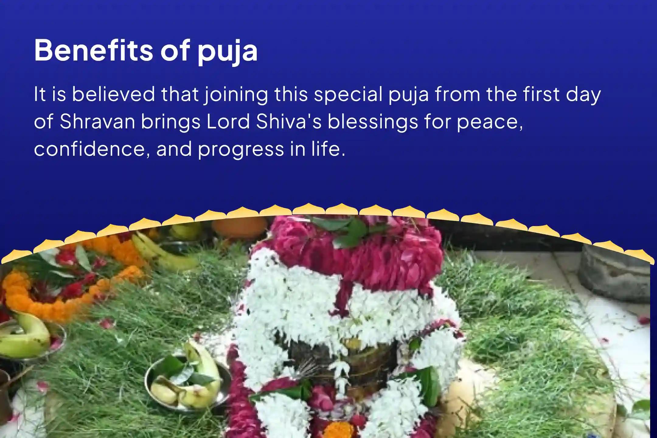 First Day of Shravan Special - 30 Days Puja 30 Days Daily - 1.25 Lakh Shiva Panchakshari Mantra Jaap (Om Namah Shivay) and Havan Invoke Shiva’s Blessings for Calm, Confidence, and Growth in All Aspects of Life