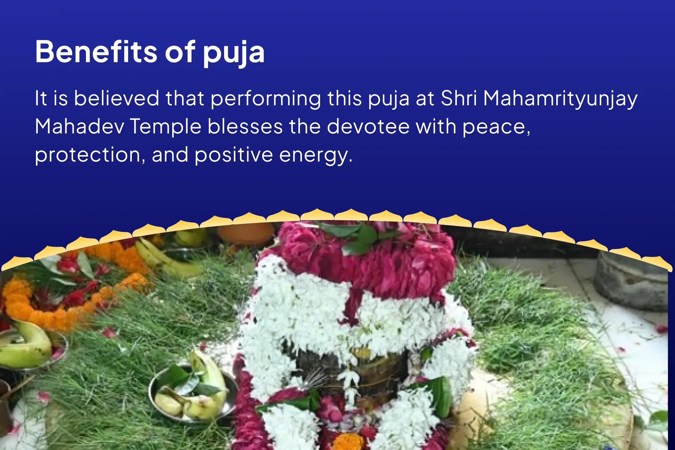 First Day of Shravan Special - 30 Days Puja Shravan Somwar Akhand Rudrabhishek Seva (30 Days Shiva Archana) To Receive Blessings for Peace, Protection, and Positivity